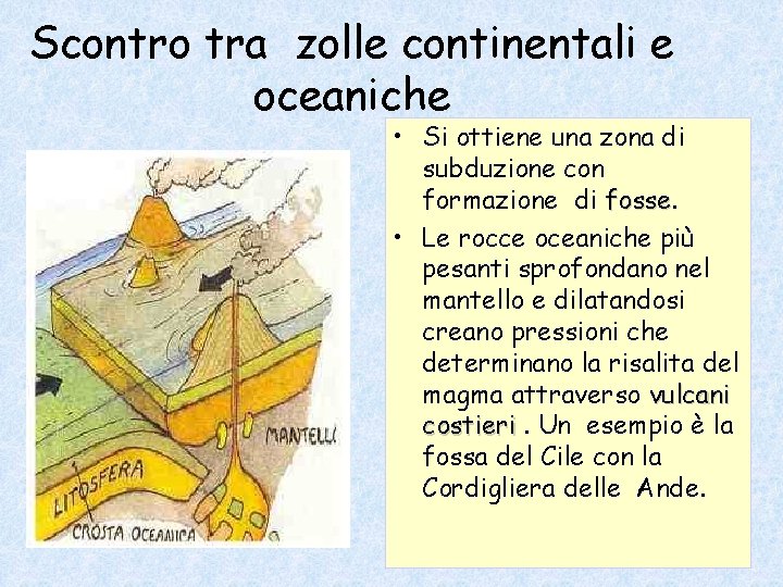 Scontro tra zolle continentali e oceaniche • Si ottiene una zona di subduzione con