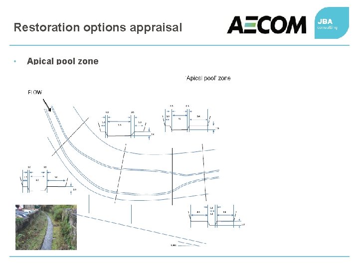 Restoration options appraisal • Apical pool zone 