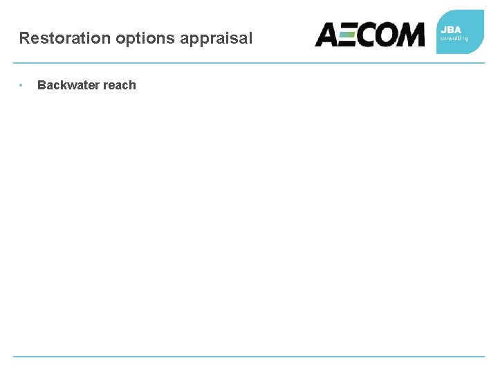 Restoration options appraisal • Backwater reach 