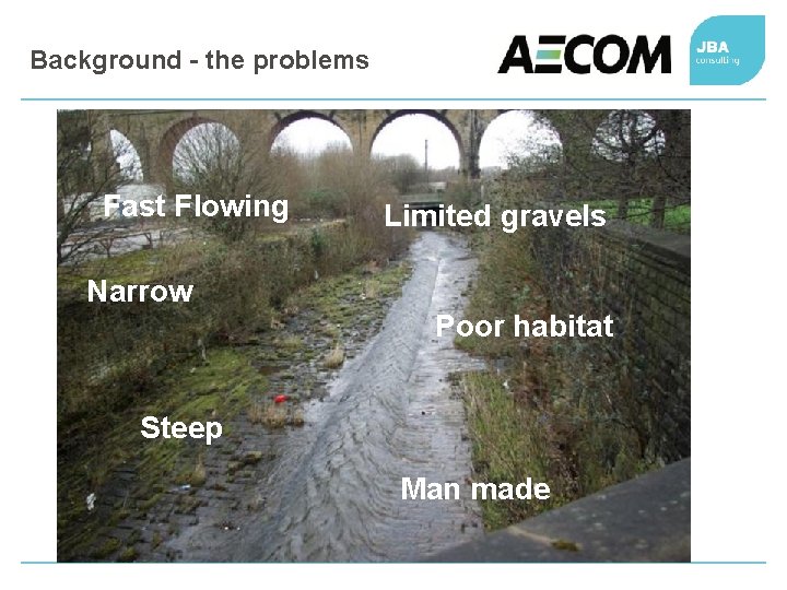 Background - the problems Fast Flowing Limited gravels Narrow Poor habitat Steep Man made