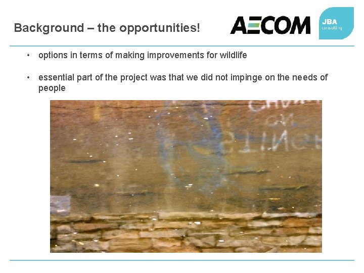 Background – the opportunities! • options in terms of making improvements for wildlife •
