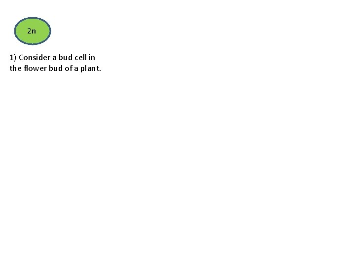 2 n 1) Consider a bud cell in the flower bud of a plant.
