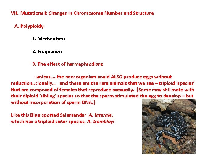 VII. Mutations I: Changes in Chromosome Number and Structure A. Polyploidy 1. Mechanisms: 2.