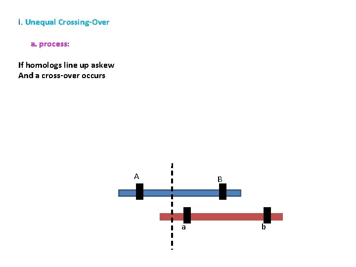 i. Unequal Crossing-Over a. process: If homologs line up askew And a cross-over occurs