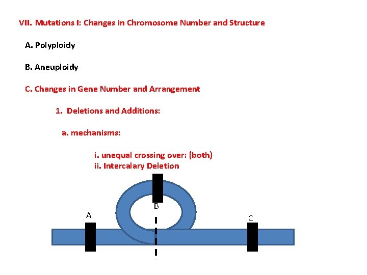 VII. Mutations I: Changes in Chromosome Number and Structure A. Polyploidy B. Aneuploidy C.