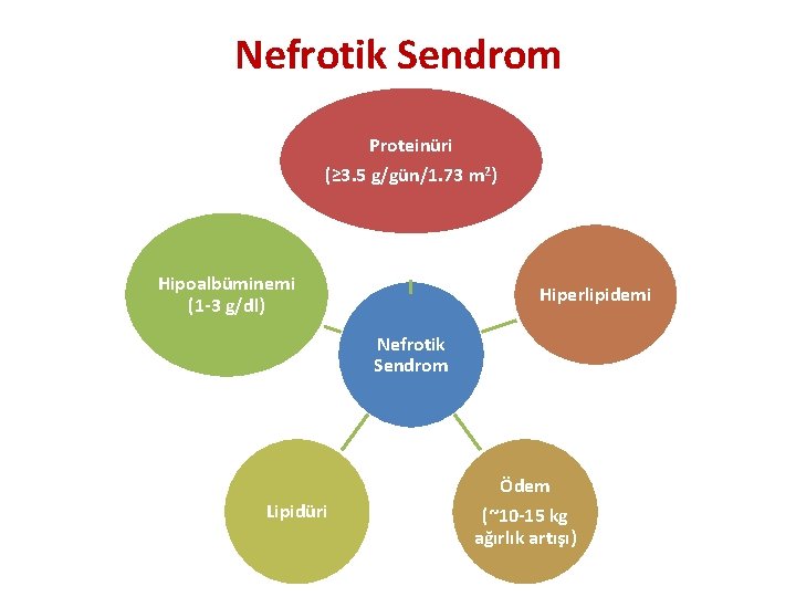 Nefrotik Sendrom Proteinüri (≥ 3. 5 g/gün/1. 73 m 2) Hipoalbüminemi (1 -3 g/dl)