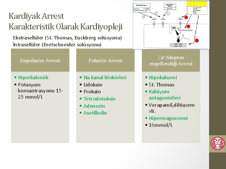 Kardiyak Arrest Karakteristik Olarak Kardiyopleji Ekstrasellüler (St. Thomas, Buckberg solüsyonu) İntrasellüler (Bretschneider solüsyonu) Depolarize