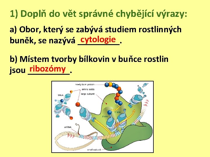 1) Doplň do vět správné chybějící výrazy: a) Obor, který se zabývá studiem rostlinných