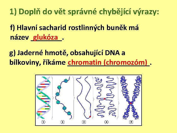 1) Doplň do vět správné chybějící výrazy: f) Hlavní sacharid rostlinných buněk má název