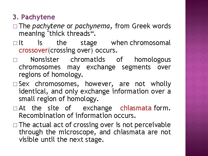 3. Pachytene � The pachytene or pachynema, from Greek words meaning "thick threads“. �