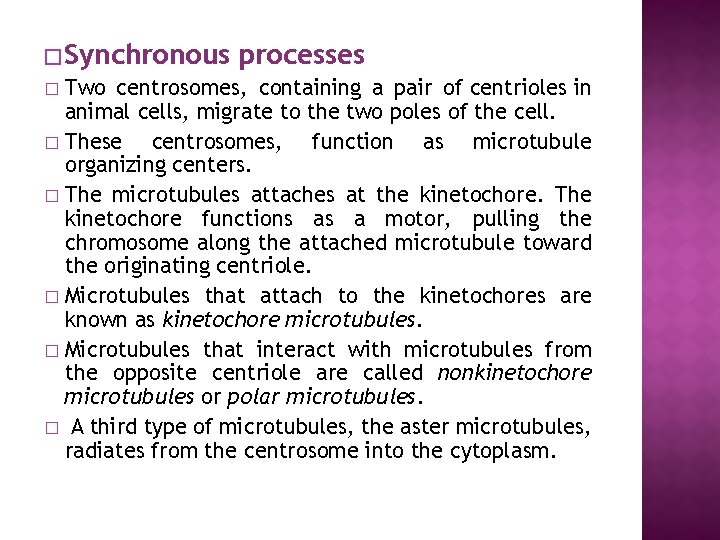 � Synchronous processes Two centrosomes, containing a pair of centrioles in animal cells, migrate