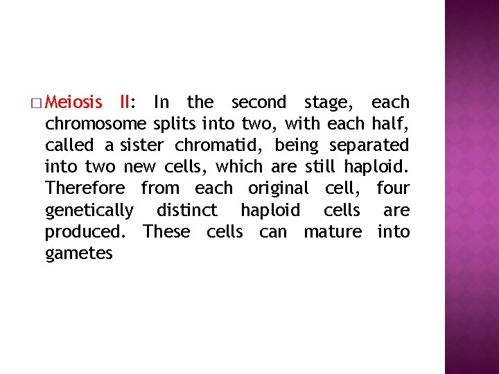 � Meiosis II: In the second stage, each chromosome splits into two, with each