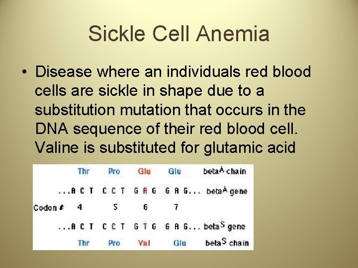 Sickle Cell Anemia • Disease where an individuals red blood cells are sickle in