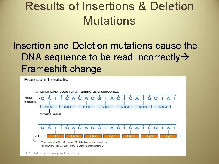 Results of Insertions & Deletion Mutations Insertion and Deletion mutations cause the DNA sequence