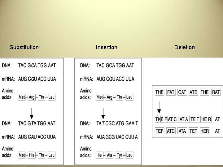 Substitution Insertion Deletion 