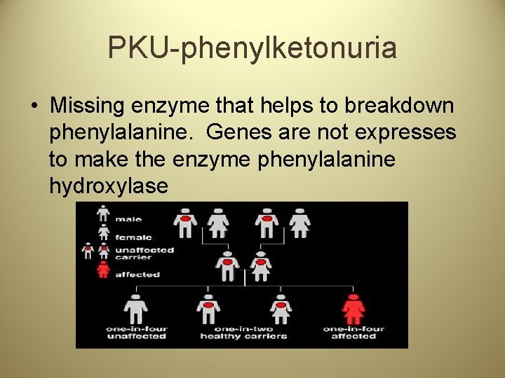 PKU-phenylketonuria • Missing enzyme that helps to breakdown phenylalanine. Genes are not expresses to