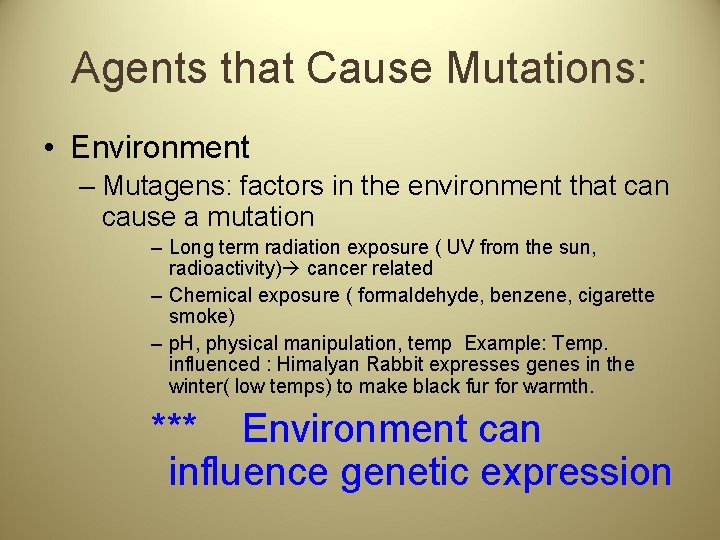 Agents that Cause Mutations: • Environment – Mutagens: factors in the environment that can