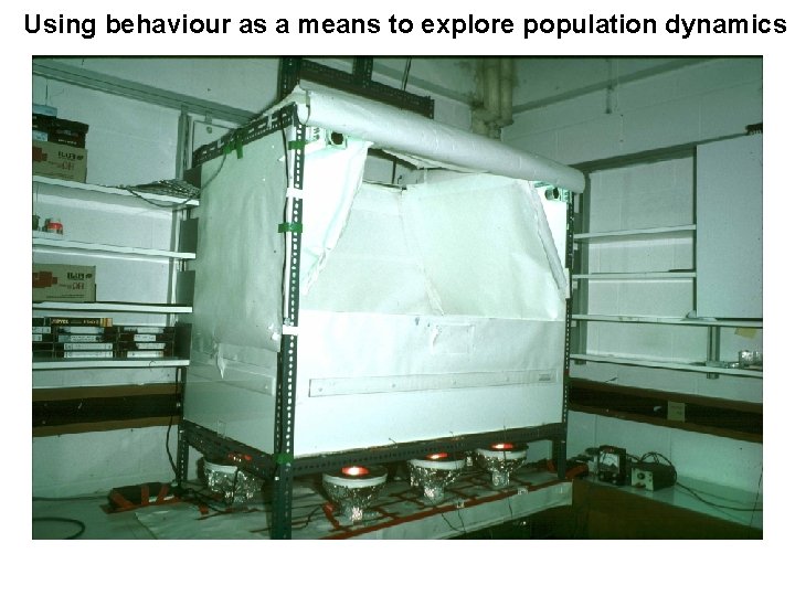 Using behaviour as a means to explore population dynamics Using behaviour as a means to explore population dynamics
