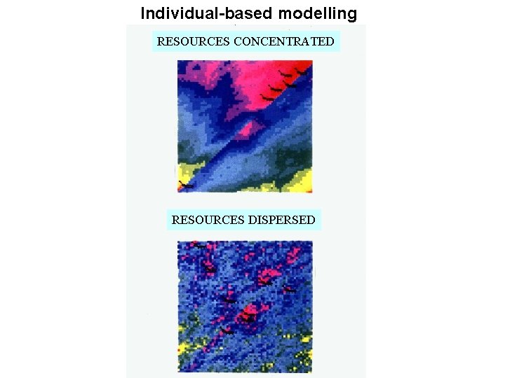 Individual-based modelling RESOURCES CONCENTRATED RESOURCES DISPERSED Individual-based modelling RESOURCES CONCENTRATED RESOURCES DISPERSED