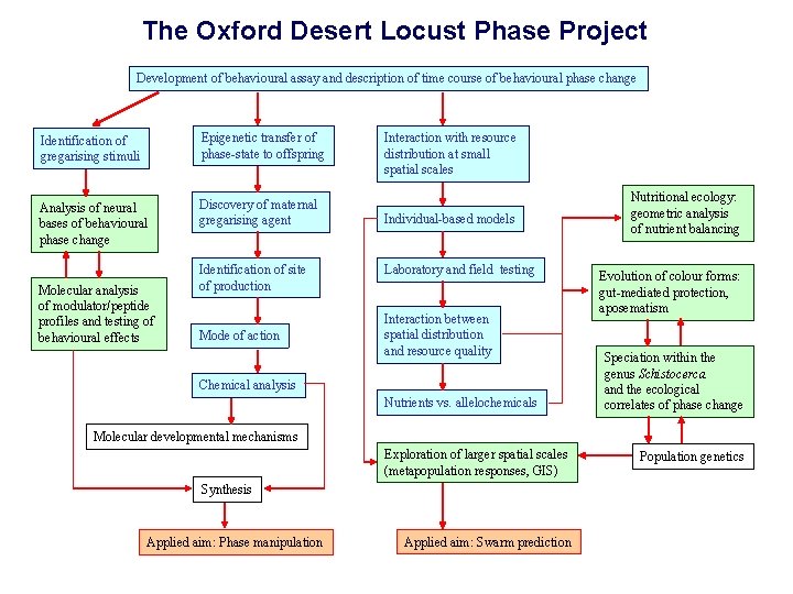 The Oxford Desert Locust Phase Project Development of behavioural assay and description of time The Oxford Desert Locust Phase Project Development of behavioural assay and description of time