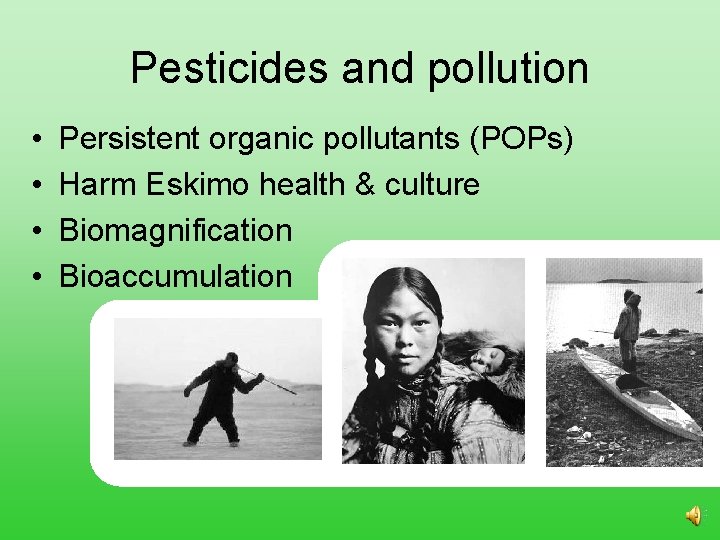 Pesticides and pollution • • Persistent organic pollutants (POPs) Harm Eskimo health & culture