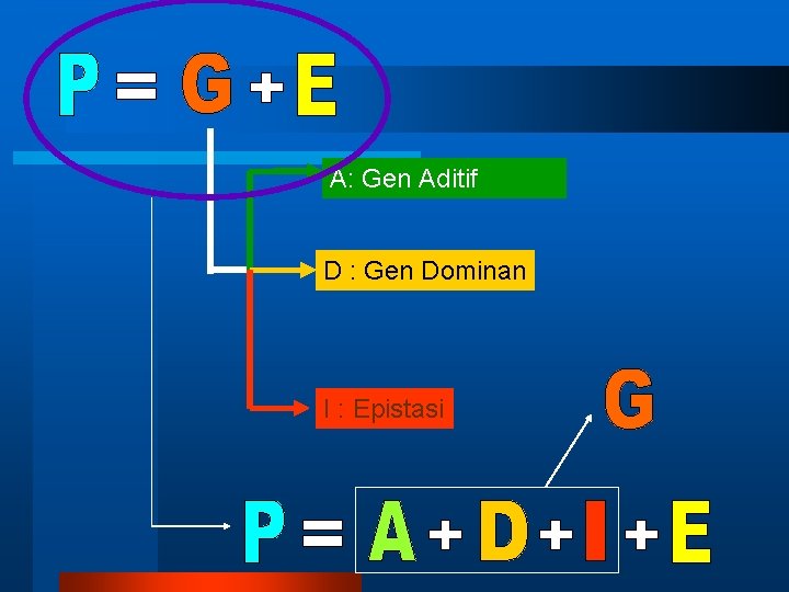 A: Gen Aditif D : Gen Dominan I : Epistasi 