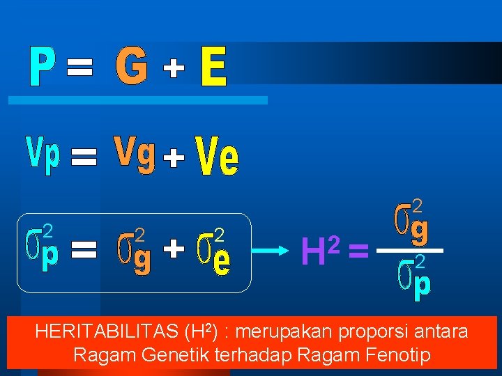 2 2 2 H = 2 HERITABILITAS (H 2) : merupakan proporsi antara Ragam