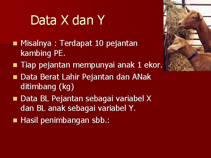 Data X dan Y n n n Misalnya : Terdapat 10 pejantan kambing PE.