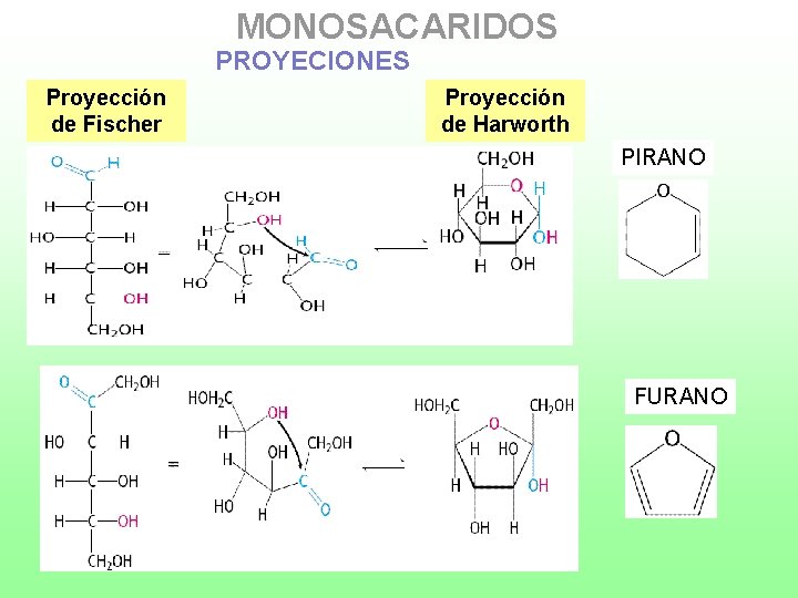 MONOSACARIDOS PROYECIONES Proyección de Fischer Proyección de Harworth PIRANO FURANO 