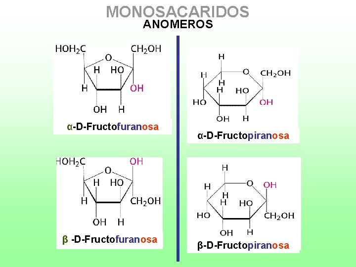 MONOSACARIDOS ANOMEROS α-D-Fructofuranosa β -D-Fructofuranosa α-D-Fructopiranosa β-D-Fructopiranosa 