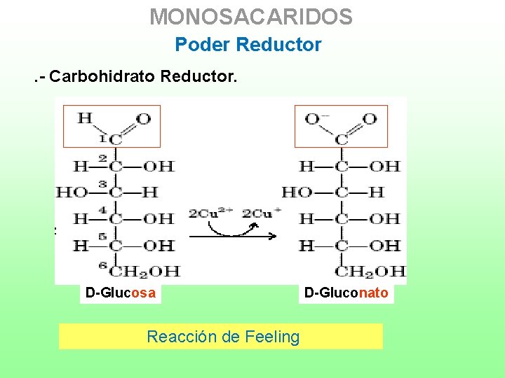 MONOSACARIDOS Poder Reductor. - Carbohidrato Reductor. D-Glucosa Reacción de Feeling D-Gluconato 