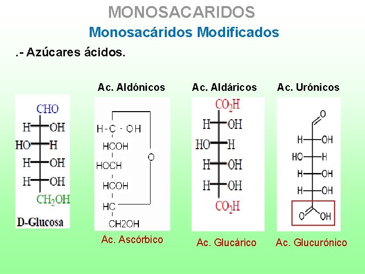 MONOSACARIDOS Monosacáridos Modificados. - Azúcares ácidos. Ac. Aldónicos Ac. Aldáricos Ac. Ascórbico Ac. Glucárico