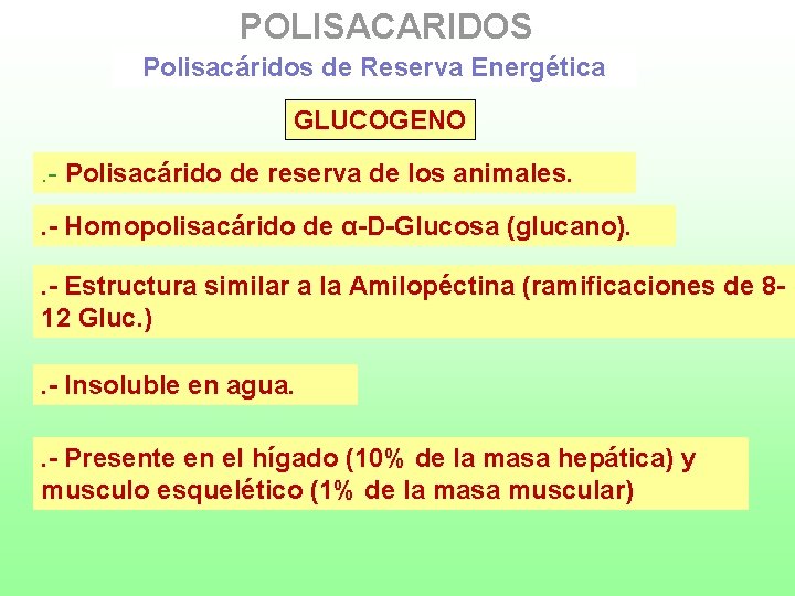 POLISACARIDOS Polisacáridos de Reserva Energética GLUCOGENO. - Polisacárido de reserva de los animales. .