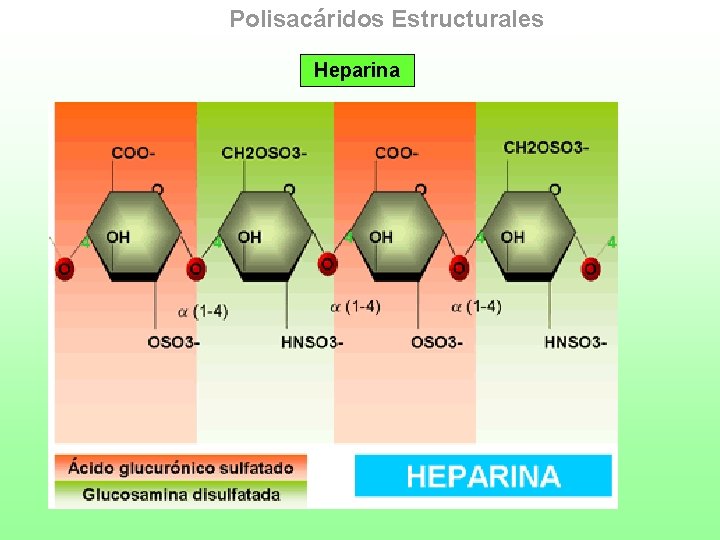 Polisacáridos Estructurales Heparina 