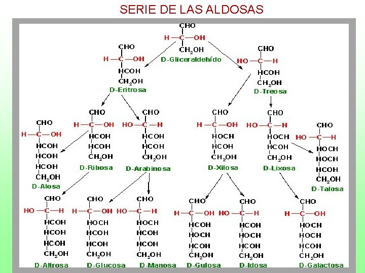 SERIE DE LAS ALDOSAS 