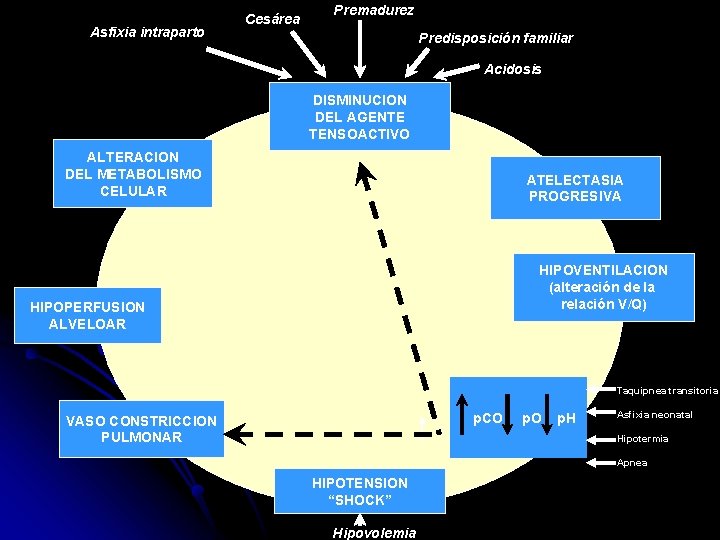 Asfixia intraparto Cesárea Premadurez Predisposición familiar Acidosis DISMINUCION DEL AGENTE TENSOACTIVO ALTERACION DEL METABOLISMO