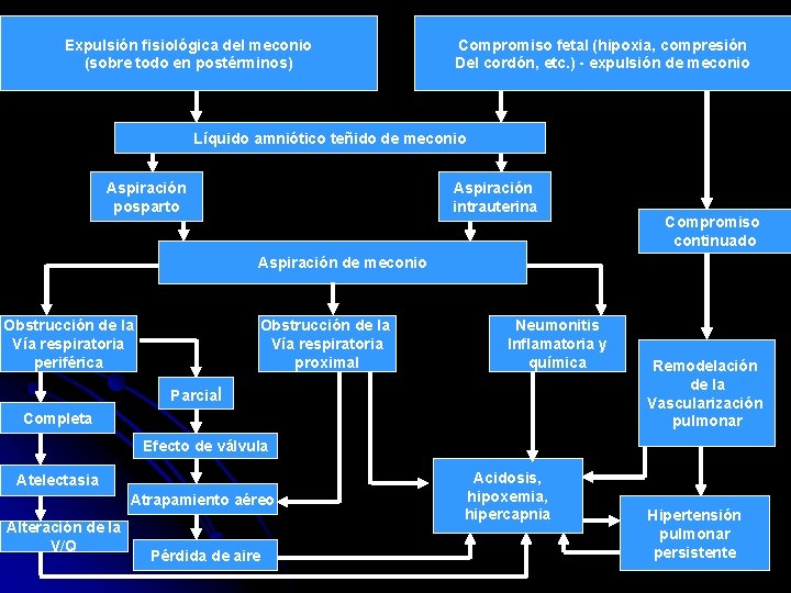 Expulsión fisiológica del meconio (sobre todo en postérminos) Compromiso fetal (hipoxia, compresión Del cordón,