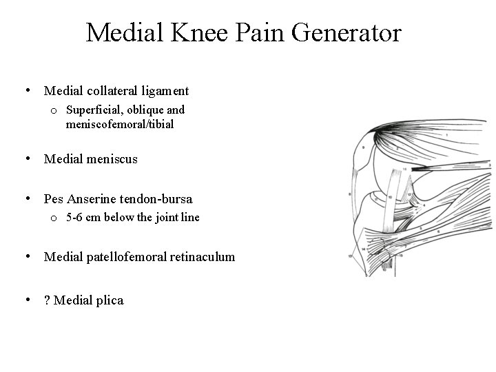Medial Knee Pain Generator • Medial collateral ligament o Superficial, oblique and meniscofemoral/tibial •
