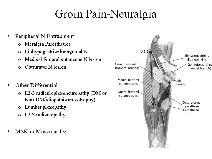 Groin Pain-Neuralgia • Peripheral N Entrapment o o Meralgia Paresthetica Iliohypogastric/ilioinguinal N Medical femoral