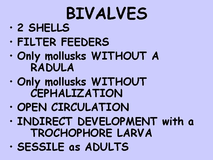 BIVALVES • 2 SHELLS • FILTER FEEDERS • Only mollusks WITHOUT A RADULA •