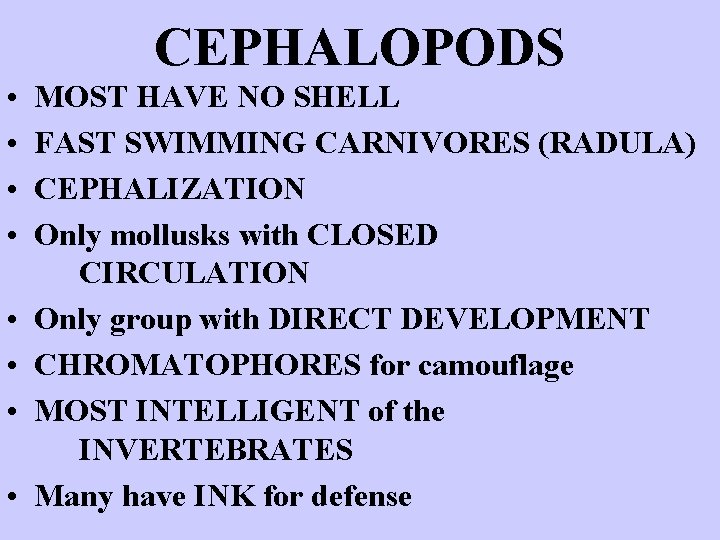 CEPHALOPODS • • MOST HAVE NO SHELL FAST SWIMMING CARNIVORES (RADULA) CEPHALIZATION Only mollusks