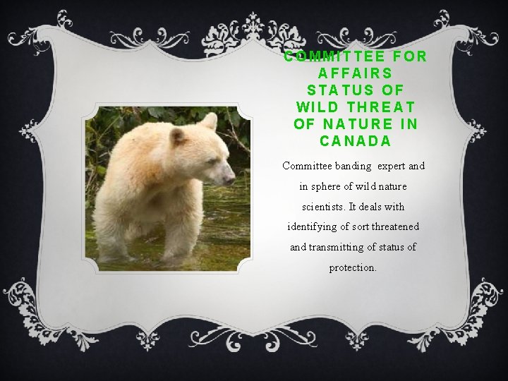 COMMITTEE FOR AFFAIRS STATUS OF WILD THREAT OF NATURE IN CANADA Committee banding expert