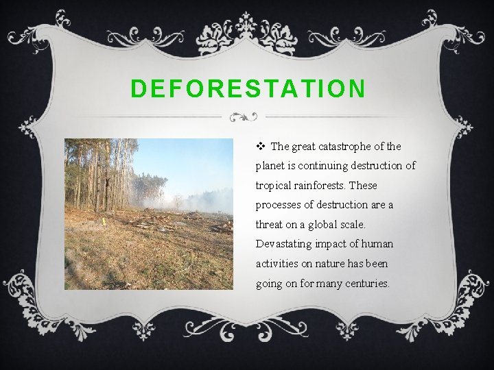 DEFORESTATION v The great catastrophe of the planet is continuing destruction of tropical rainforests.