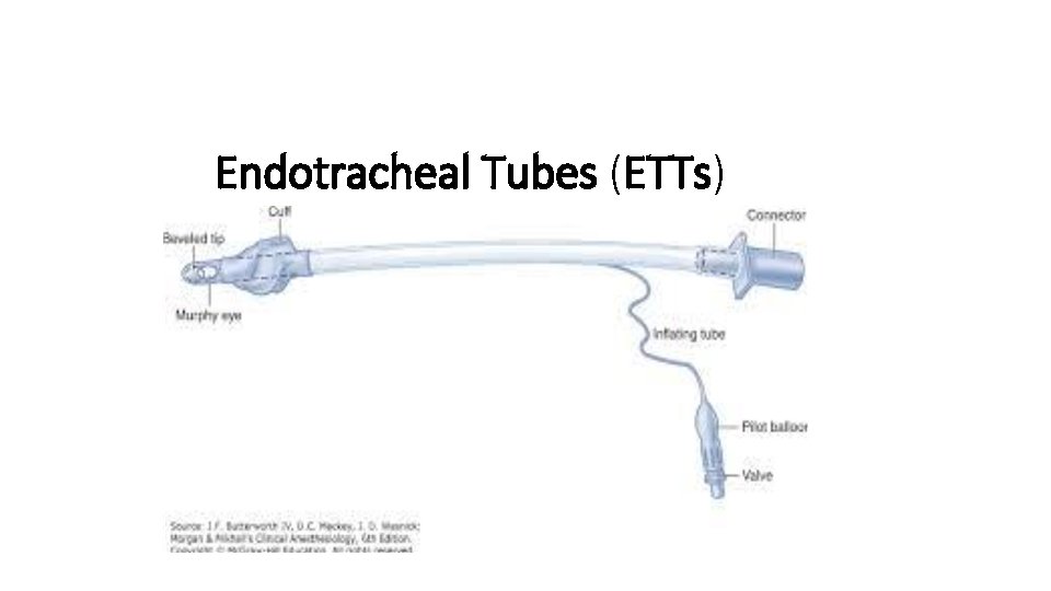 Endotracheal Tubes (ETTs) 