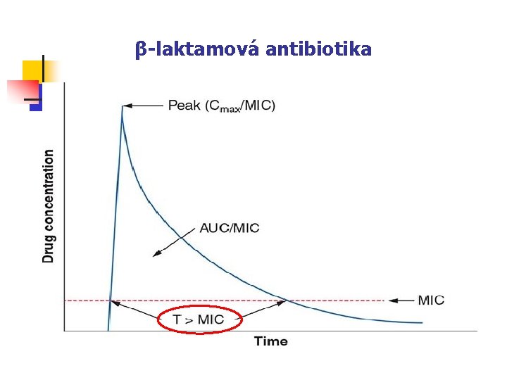 β-laktamová antibiotika 