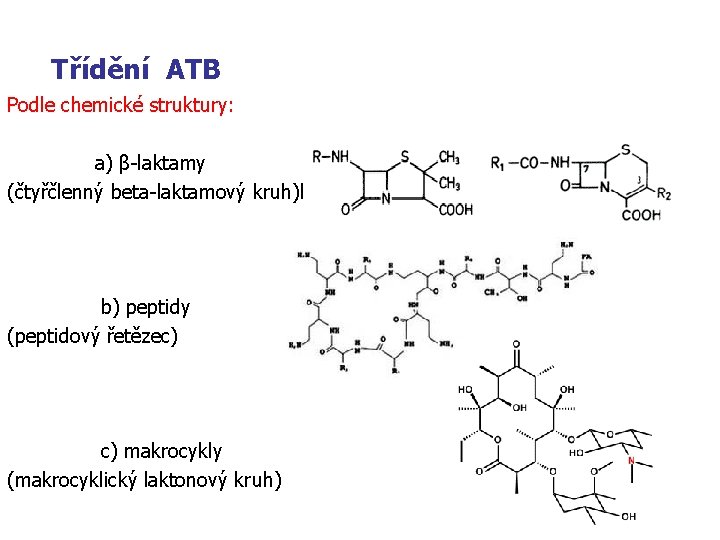  Třídění ATB Podle chemické struktury: a) β-laktamy (čtyřčlenný beta-laktamový kruh)betalakamový kruh) b) peptidy