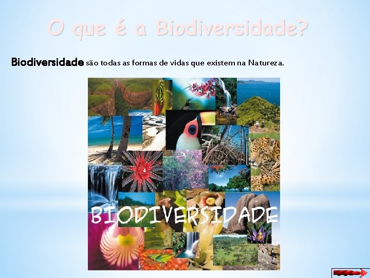 O que é a Biodiversidade? Biodiversidade são todas as formas de vidas que existem