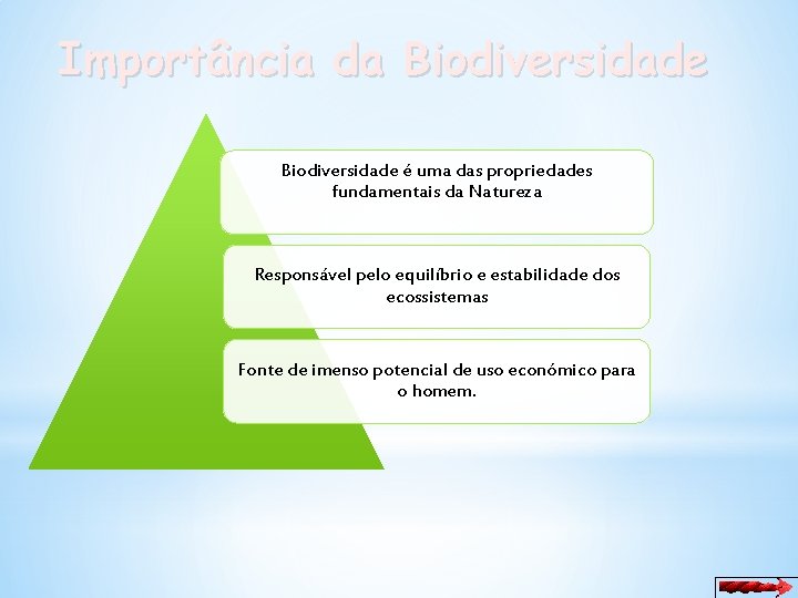 Importância da Biodiversidade é uma das propriedades fundamentais da Natureza Responsável pelo equilíbrio e