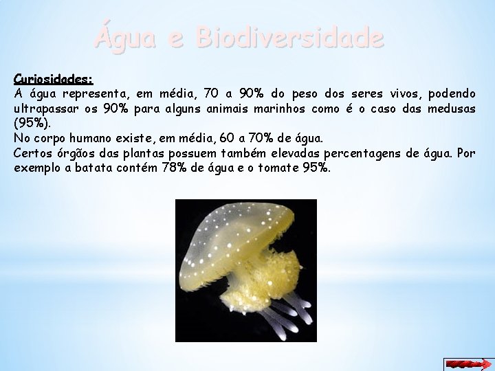 Água e Biodiversidade Curiosidades: A água representa, em média, 70 a 90% do peso