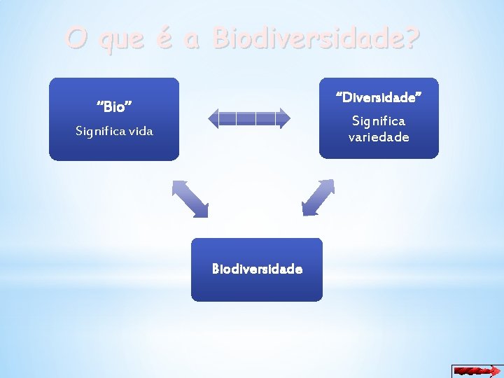 O que é a Biodiversidade? “Diversidade” Significa variedade “Bio” Significa vida Biodiversidade 